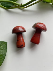 Gemstone Mushrooms 2”