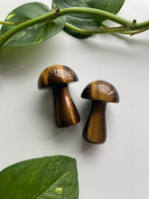Load image into Gallery viewer, Gemstone Mushrooms 2”