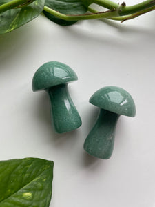 Gemstone Mushrooms 2”