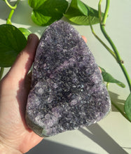 Load image into Gallery viewer, Standing Amethyst Specimens