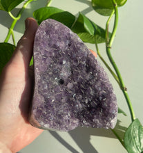 Load image into Gallery viewer, Standing Amethyst Specimens